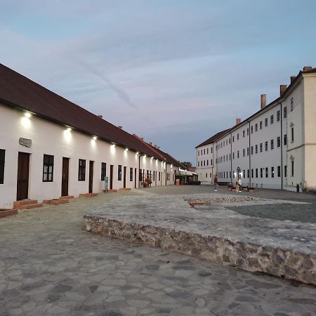 Spiegel Center Apartment Орадеа Екстериор снимка